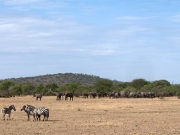 Western_Corridor2009-45